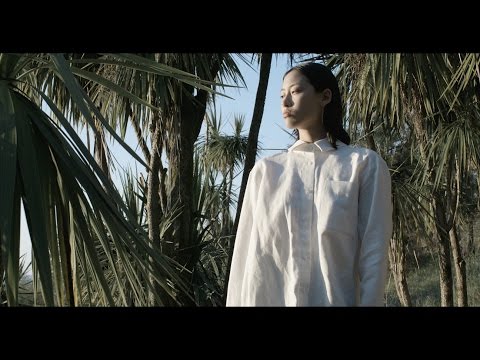 Mood Video - Palms